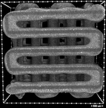 A microCT image shows a 3D-printed scaffold with clear grooves meant for the deposition of live cells