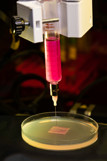 single nozzle printing of bio-ink onto an LB-agar plate