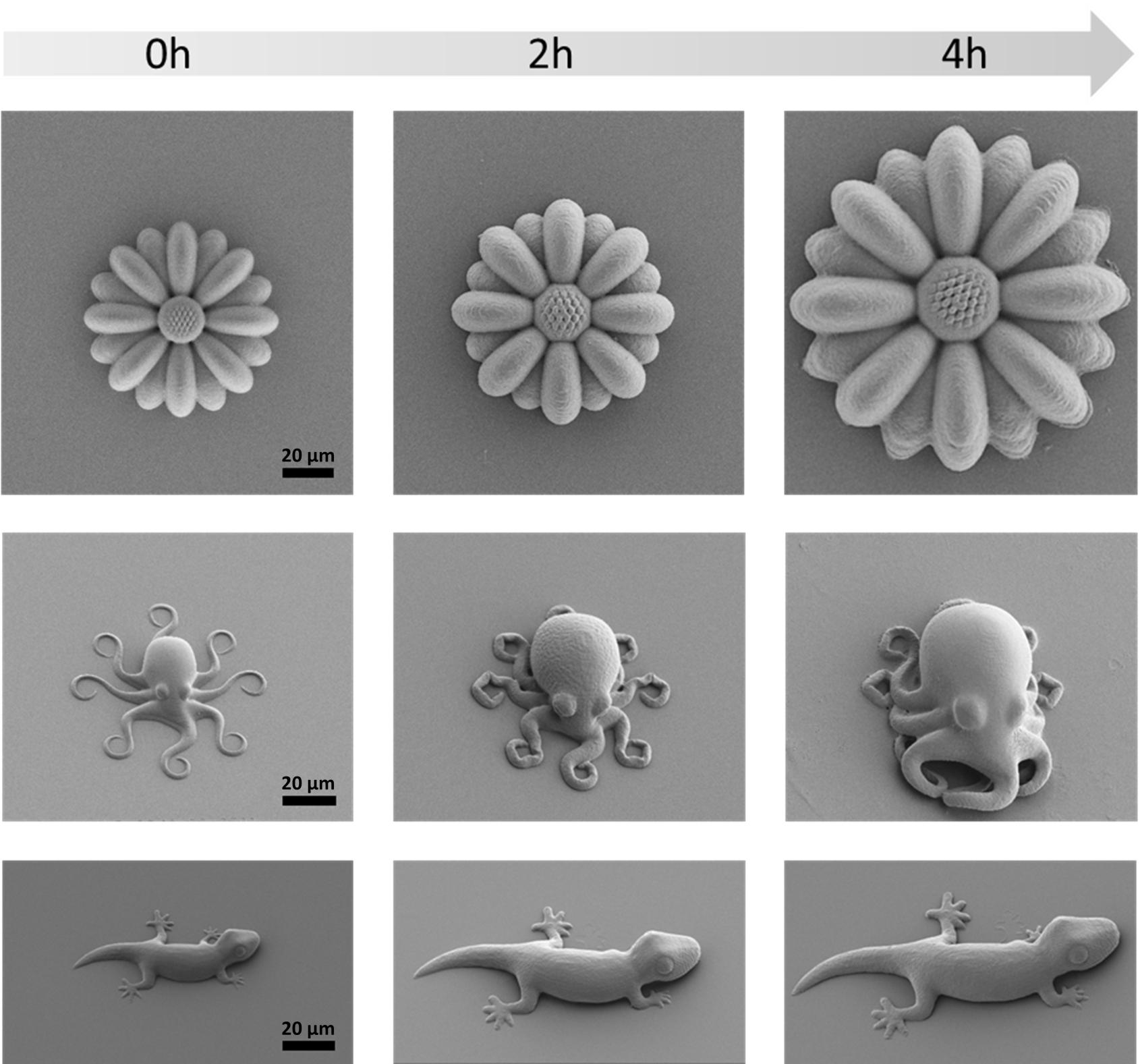 3D printed microstructures