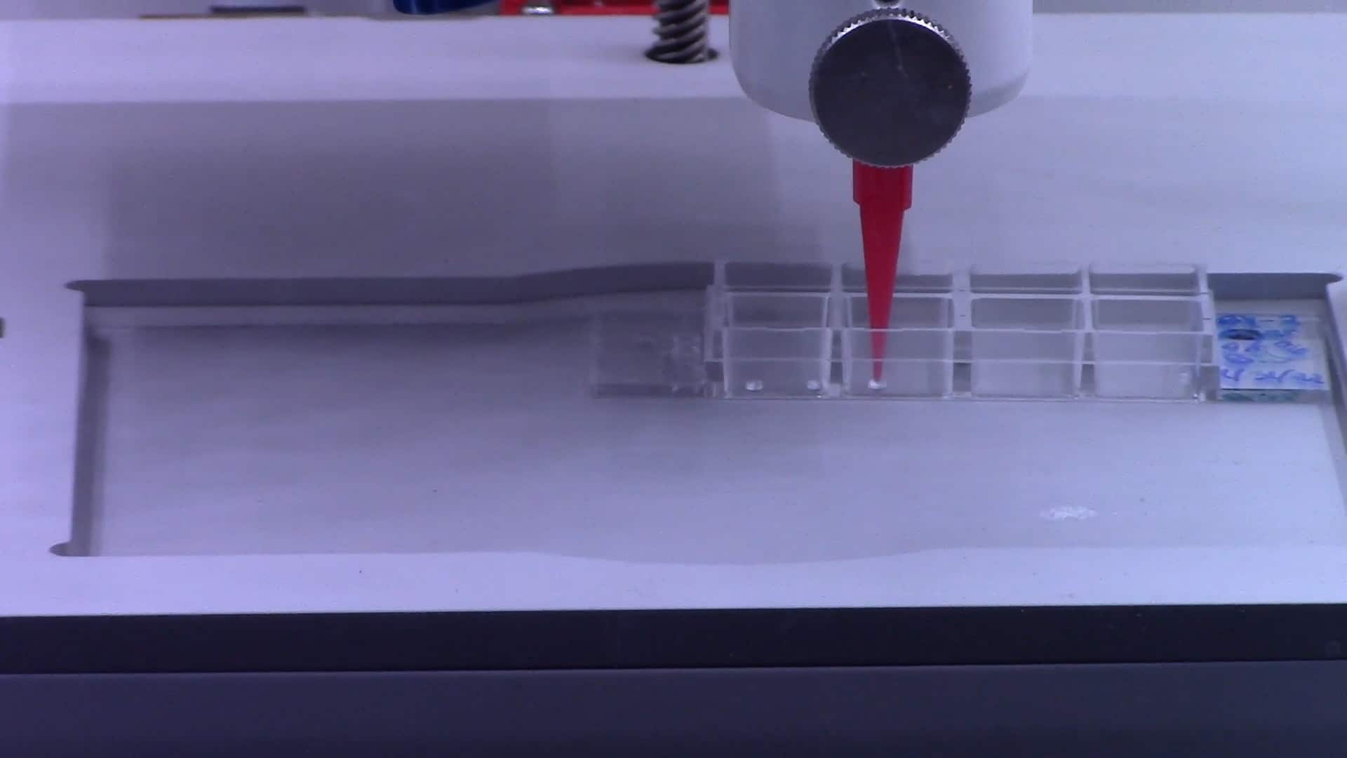 Plant cells are bioprinted by a 3D printer