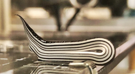 stripes of electroactive polymer