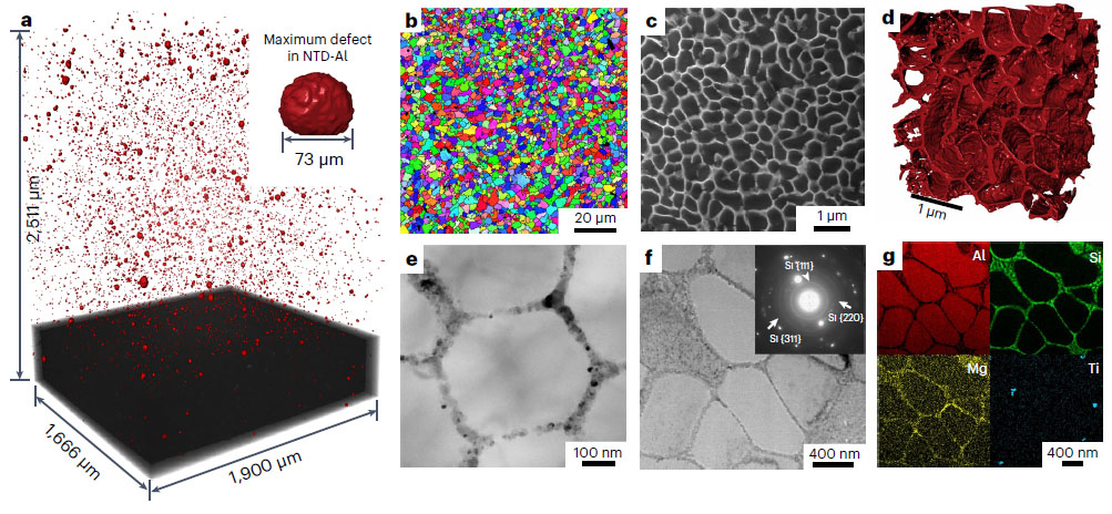Microstructure of 3D printed AM NTD-Al alloy