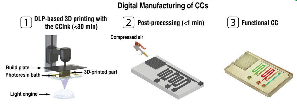 Digital manufacturing of functional capillaric circuits using an intrinsically hydrophilic ink