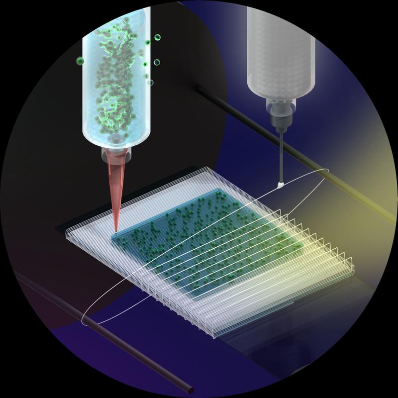 Illustration of 3D bio-printing