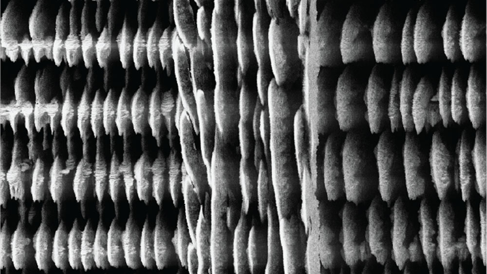 A close up of 3D-printed Si-rich glass micro-supercapacitors (MSCs) on silicon substrates. Magnified by 4720 times.