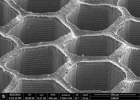 3D printed honeycomb structure