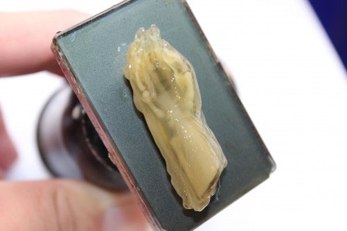 3D printed plastics