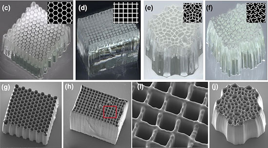 different lattice patterns for 3D-printed microtubule arrays