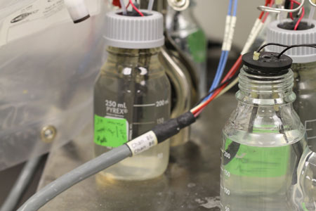 Bench-top Microbial Fuel Cell