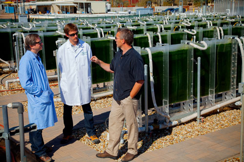 Sandia National Laboratories' Tom Reichardt, left, and Aaron Collins, center, chat with John McGowen of the Arizona Center for Algae Technology and Innovation