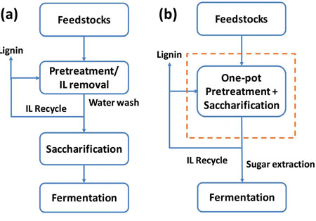 Conventional separate pretreatment and saccharification of biofuel feedstock (a) entails water and waste disposal that one-pot system (b) eliminates