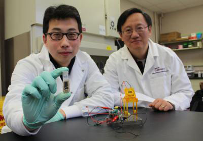 Y.H. Percival Zhang (right), an associate professor of biological systems engineering at Virginia Tech, and Zhiguang Zhu show off their new sugar battery