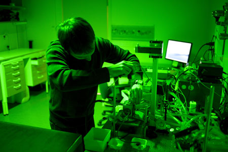 Sergey Koroidov is working in green light with the mass spectrometric experiments