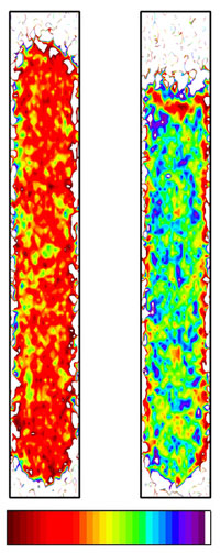 Spatial distribution of ice and water in a cylindrical water column
