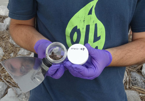 oil samples collected from a Gulf coast beach