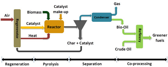 Biomass schematic