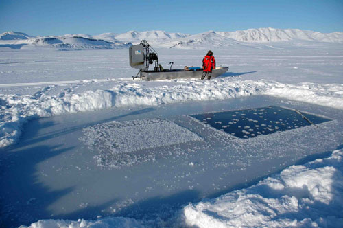 studies of sea ice in Greenland