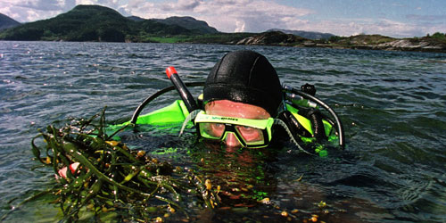 diver with kelp