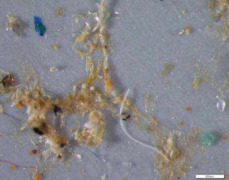 Angular colourful microplastic particles