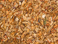 biofuel feedstock