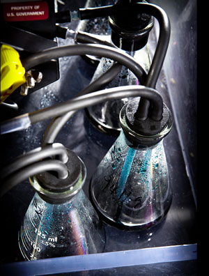 zinc-polyiodide flow battery