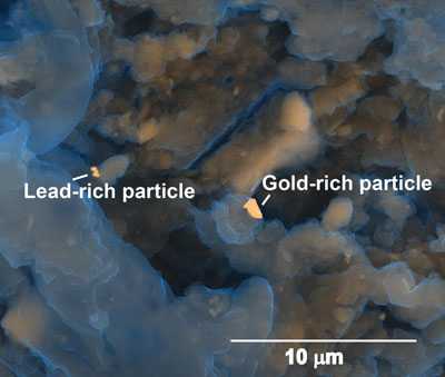 microscopic gold-rich and lead-rich particles in a municipal biosolids sample
