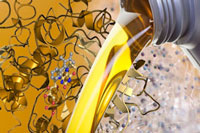 Structure of enzymes in yeast
