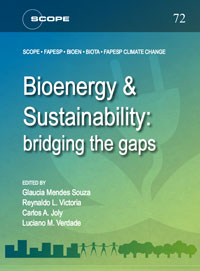 report cover: Bioenergy & Sustainability: Bridging the Gaps