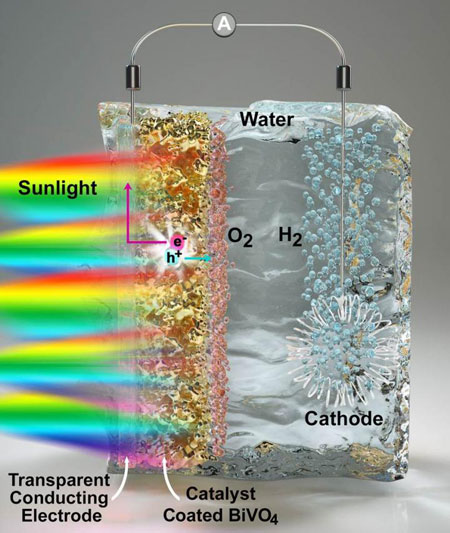 Water Splitting in a Light-Sensitive Electrode Material