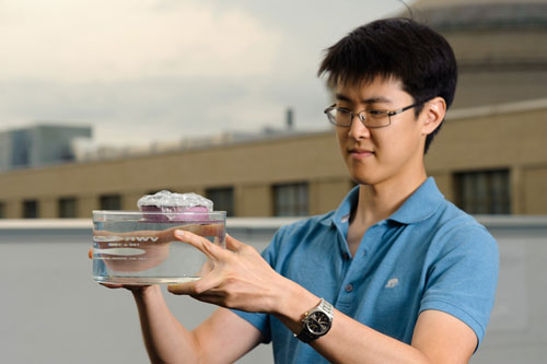 MIT graduate student George Ni holds a bubble-wrapped, sponge-like device