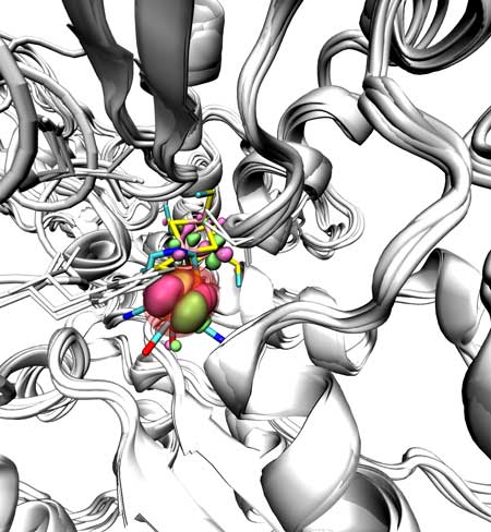 Visualization of the active site (coloured sticks) that is degraded by oxygen molecules within the core of the Fe-Fe hydrogenase with SOMO orbitals shown in green/pink