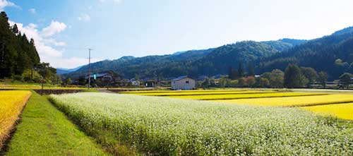 Agroecology