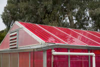 Electricity-generating Greenhouse