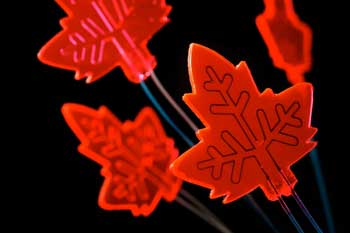 artificial leaf