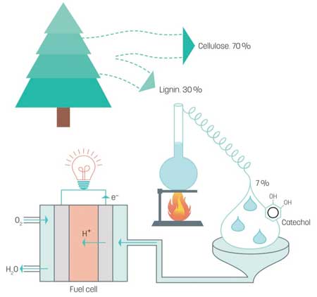 lignin for fuel cells