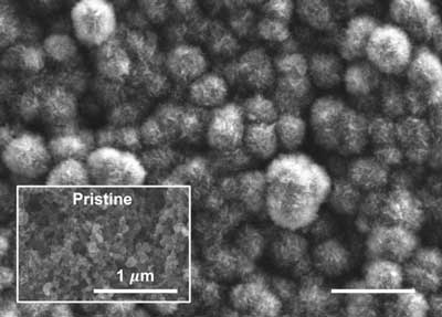 This scanning electron microscope image shows the carbon cathode of a carbon-dioxide-based battery