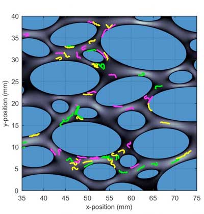 model of how microplastic fibers move through the environment