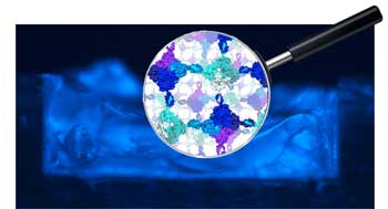 Biocatalyst: two different proteins self-assemble in a hydrogel, similar to a two-component adhesive