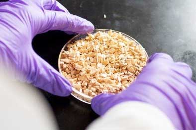 woodchips
