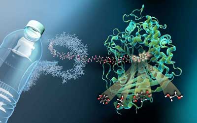 MHET molecules from PET plastic dock on to MHETase at certain locations and are then split into their building blocks