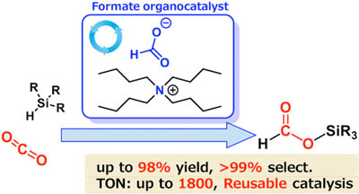 Formate-catalyzed reduction of CO2 to formate products