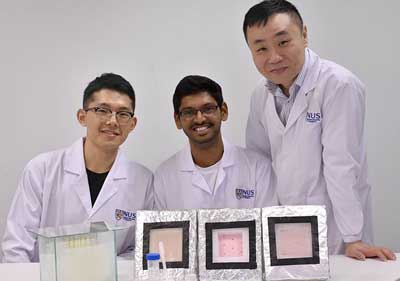 Assistant Professor Tan Swee Ching (extreme right) with colleagues