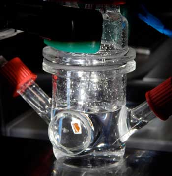 PEC Cell