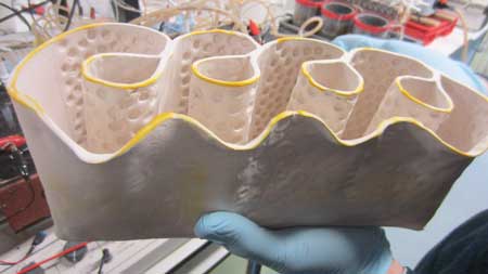 living brick containing bioreactors that process liquid waste
