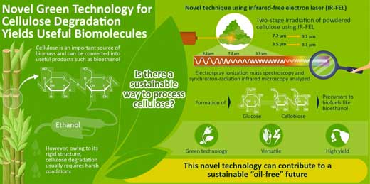 A novel laser-based strategy for the effective degradation of cellulose into useful products