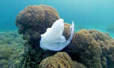 Plastic bag in the ocean