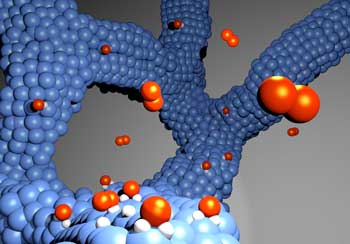 Platinum-Cobalt Alloy Network
