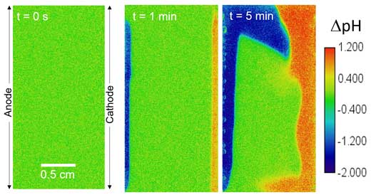 The distribution of local pH change with time in an electrolyte