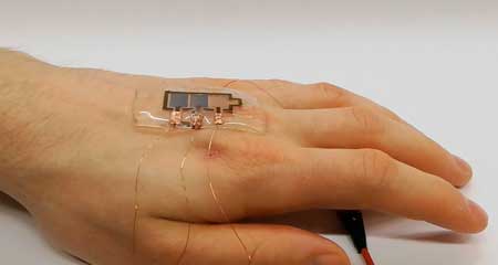 biodegradable display can be worn directly on the hand