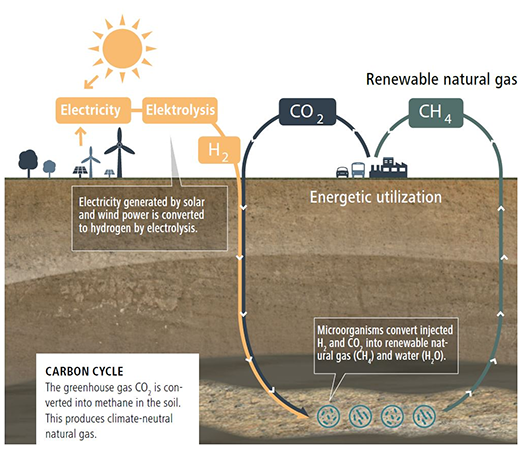 Carbon cycle: The greenhouse gas CO2 is converted into methane in the soil. This produces climate-neutral natural gas